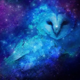 cosmic-owl-remastered