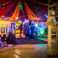 Interior of Branches Mobile Gallery at Lucidity Festival