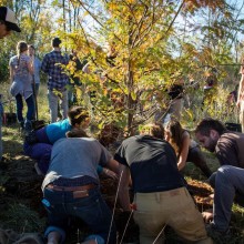 Permaculture Action Day: planting trees