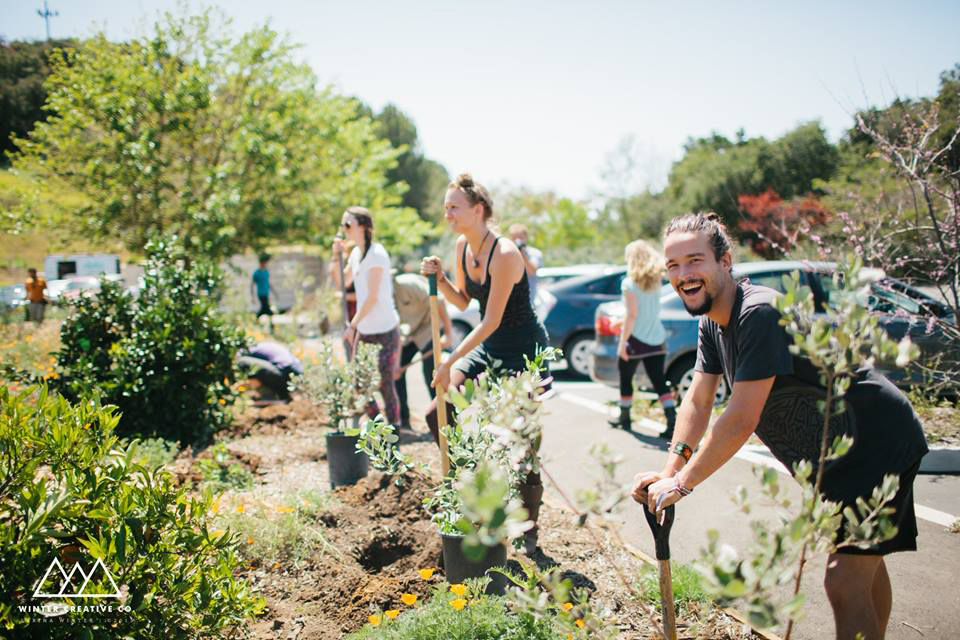 Finding your role in a garden or a community