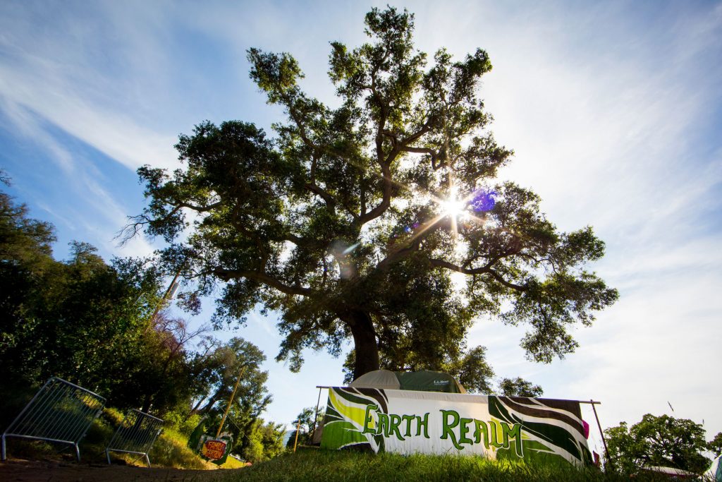 "Earth Realm" entrance banner with massive tree towering over