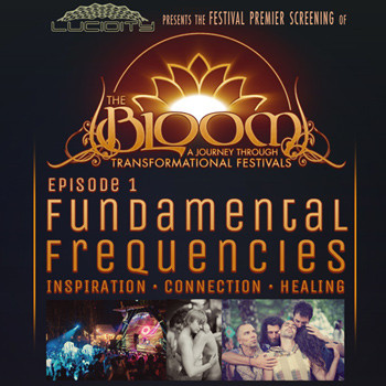 bloom-series-at-lucidity-forweb
