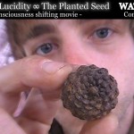 "Journey to Lucidity: The Planted Seed" - An Interview with the Film's Director