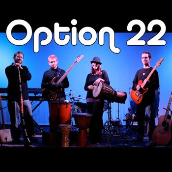option22